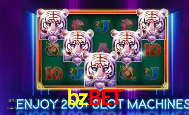 bzbet Pagamento Seguro SSL